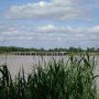 Grattequina, vue de Saint-Louis-de-Montferrand. Marée basse. 25 mai 2025.
